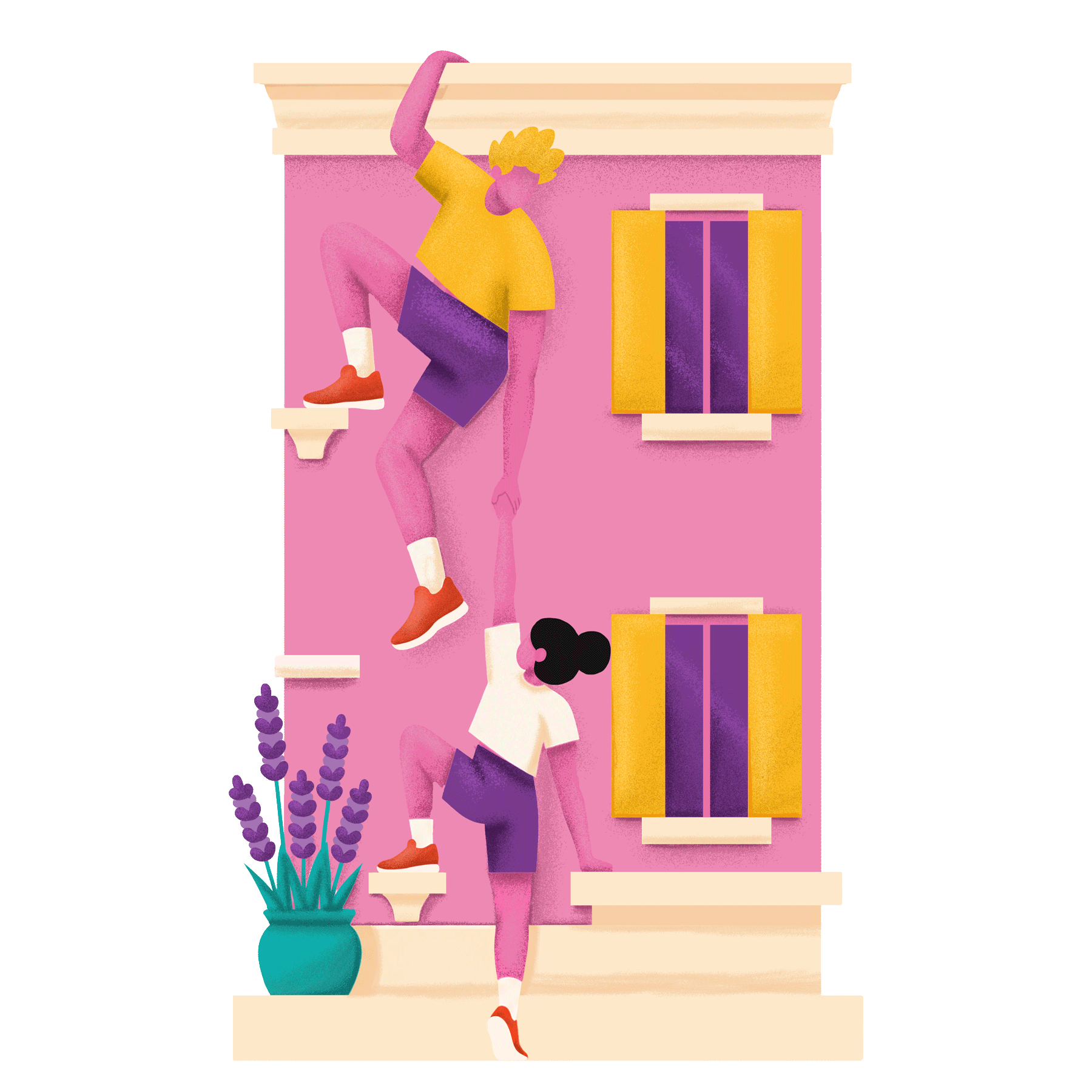 Animations