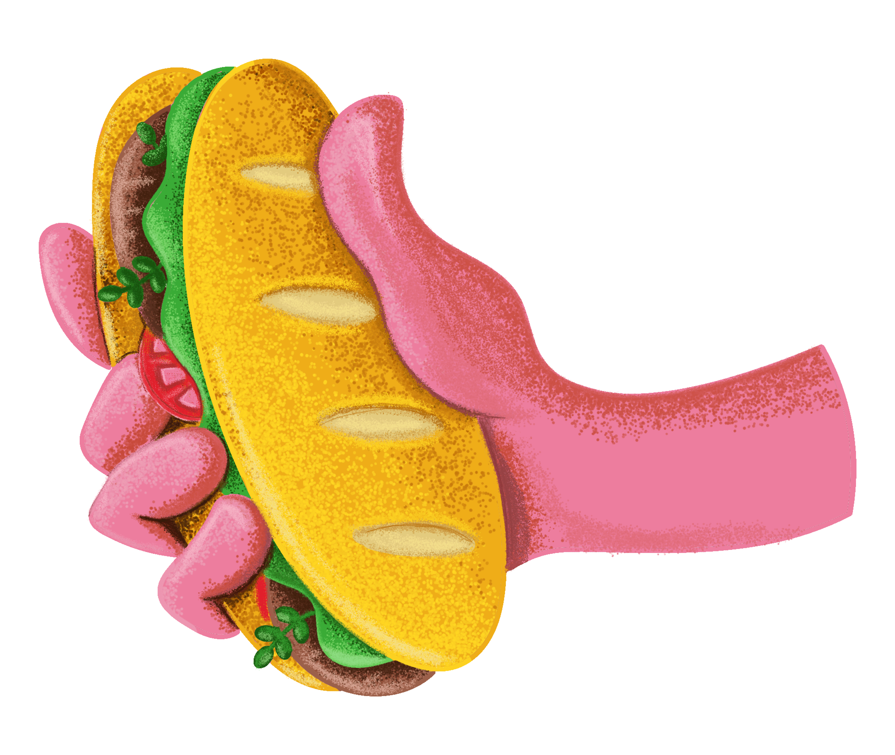 Illustration sandwich